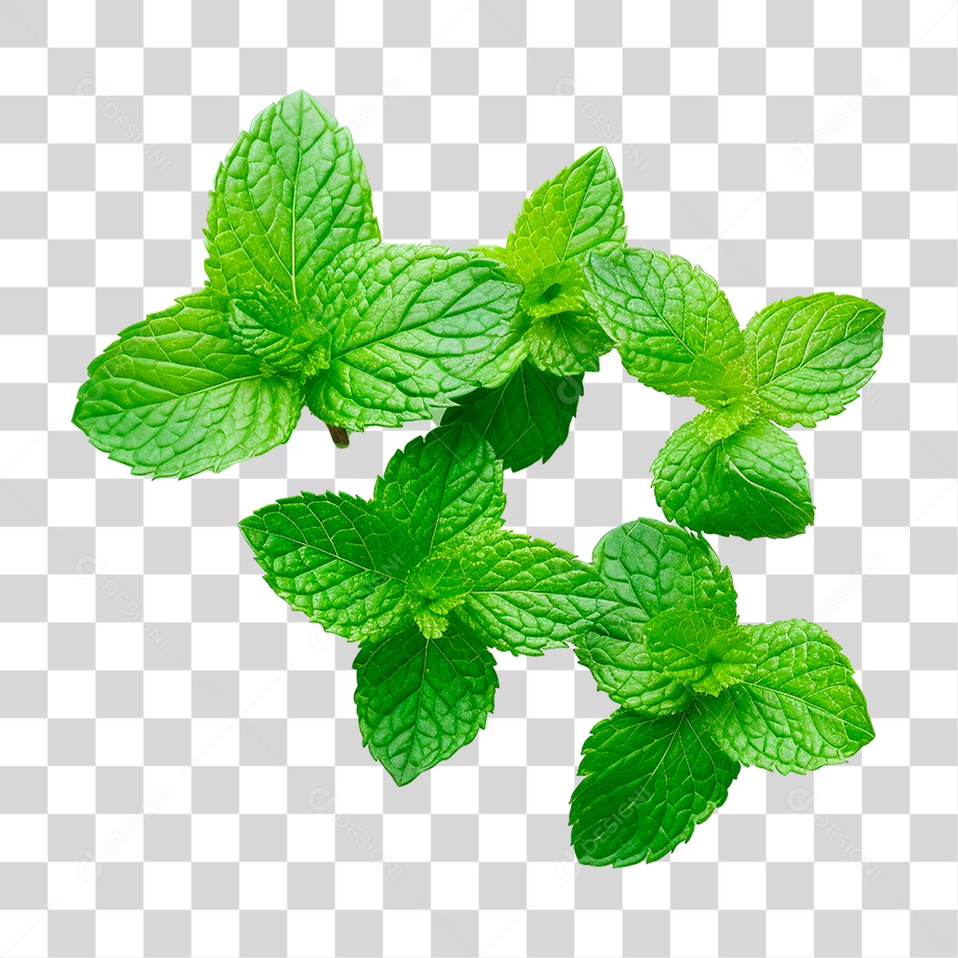 Hortelã PNG Transparente