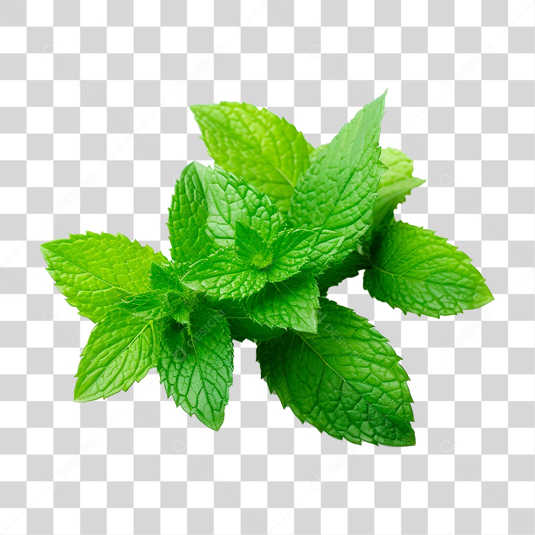 Hortelã PNG Transparente
