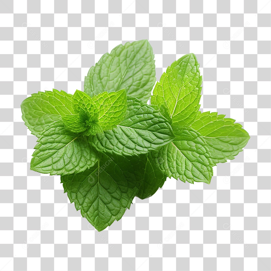 Folhas de Hortelã PNG Transparente