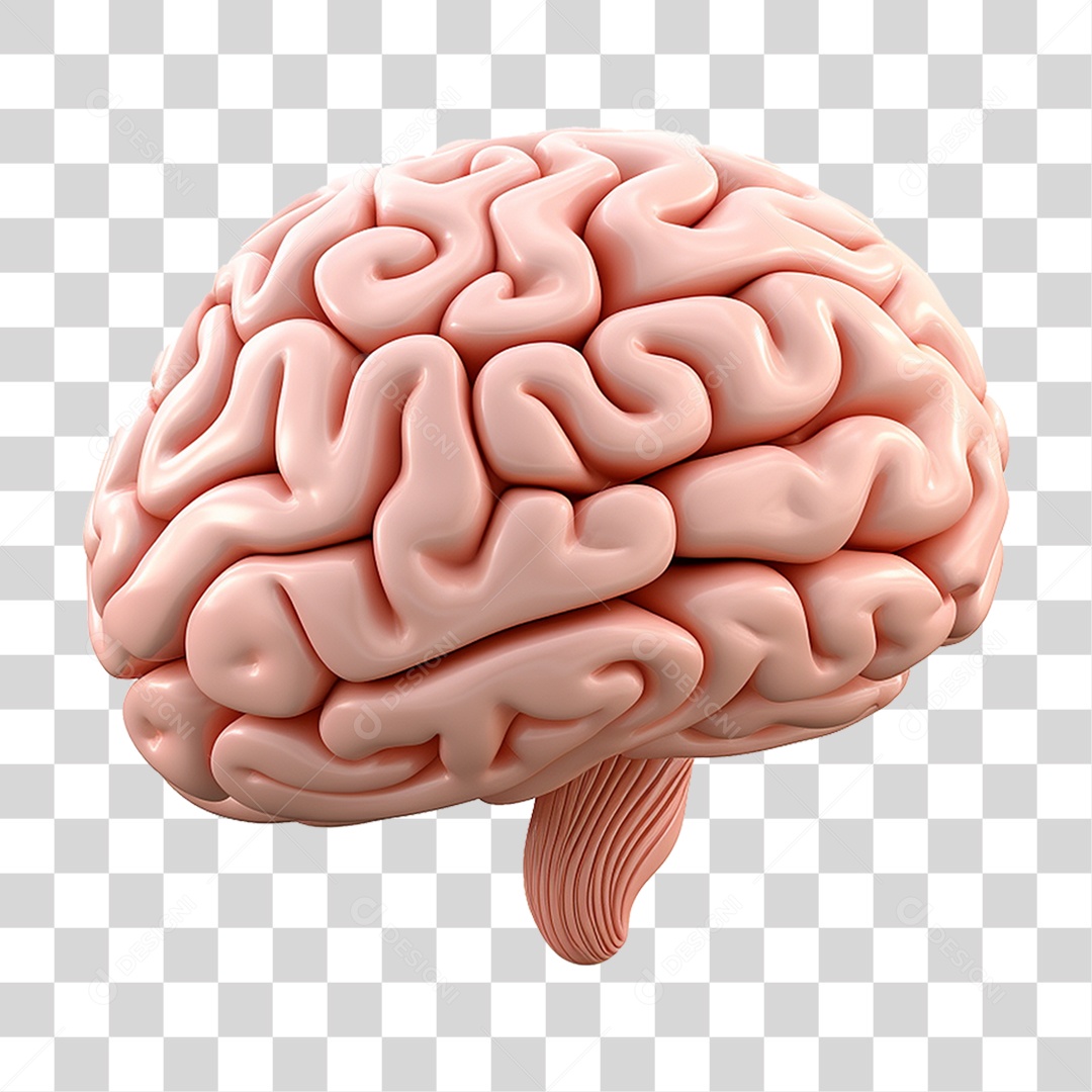 Ícone Cérebro PNG Transparente