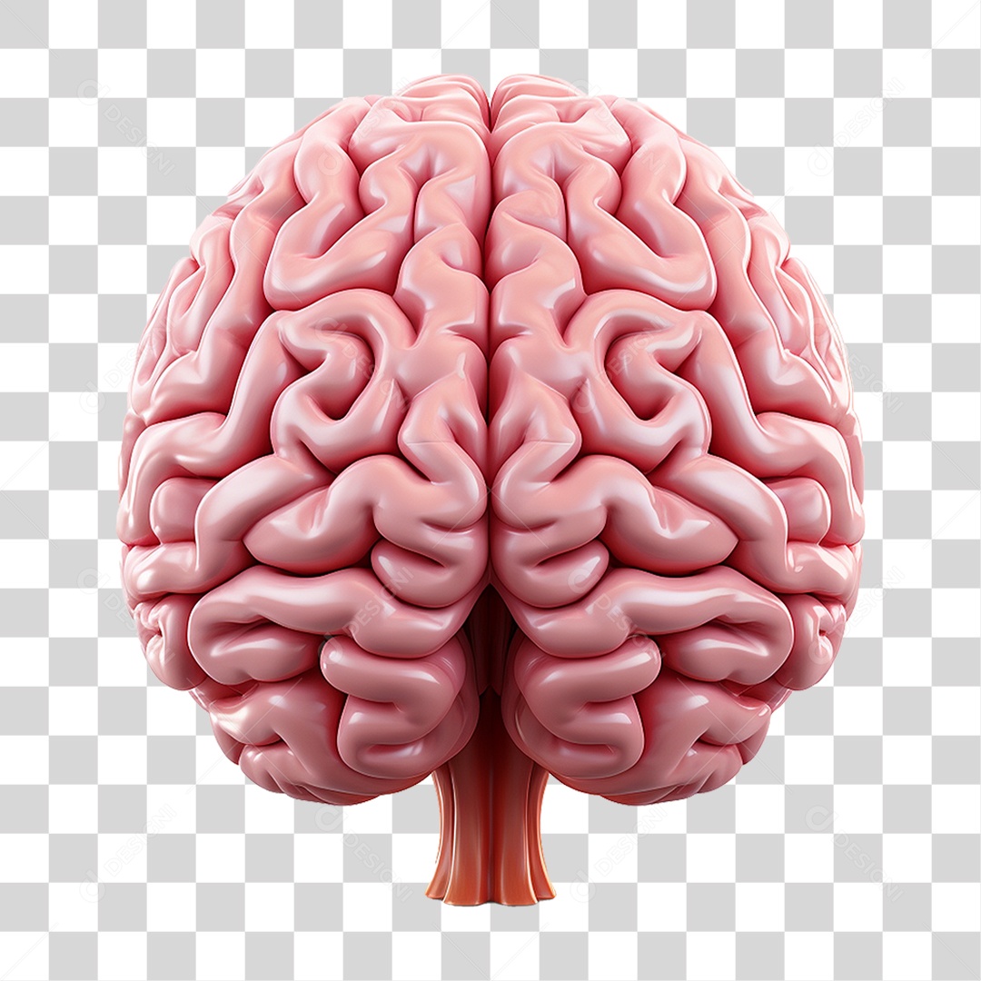 Ícone Cérebro PNG Transparente