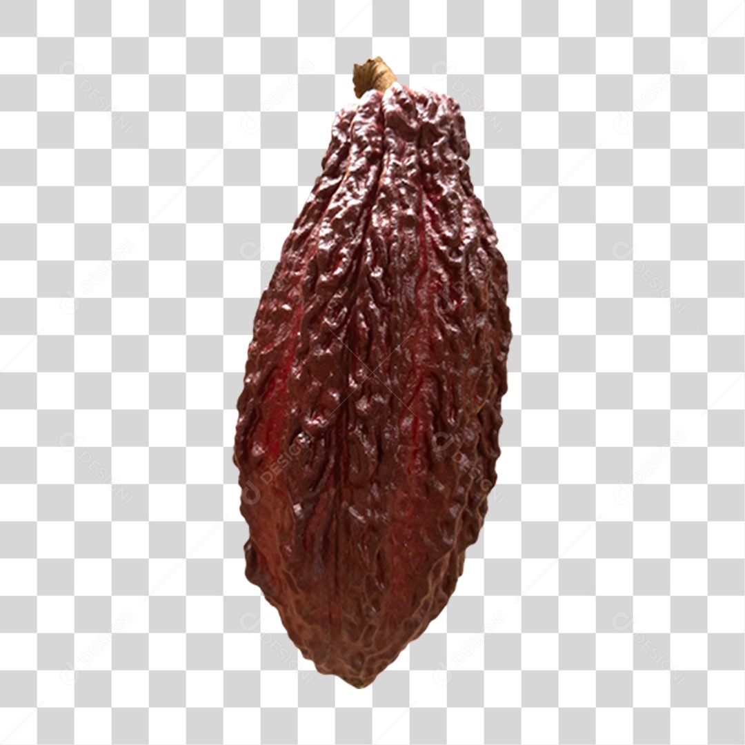 Fruta Cacau PNG Transparente