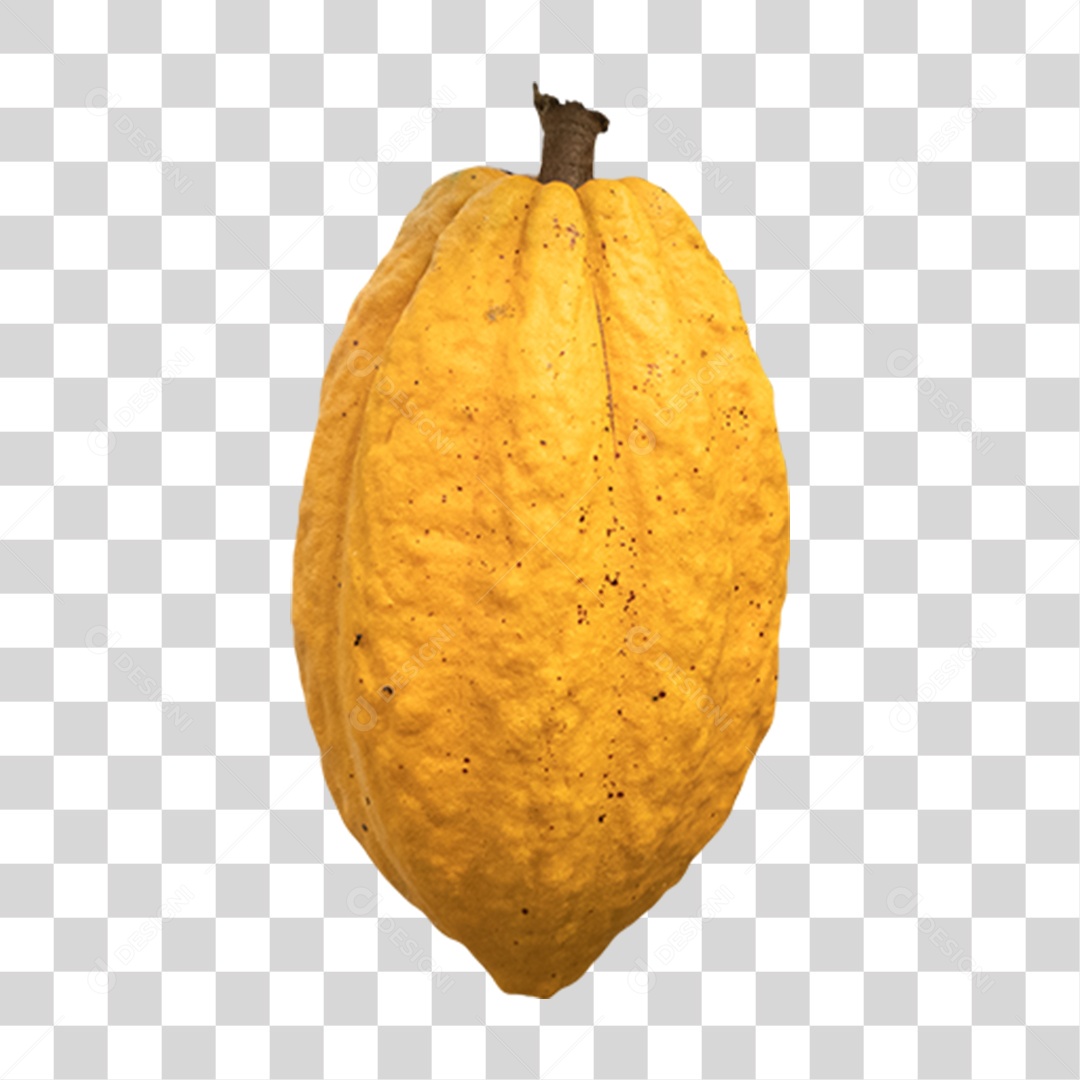 Fruta Cacau PNG Transparente
