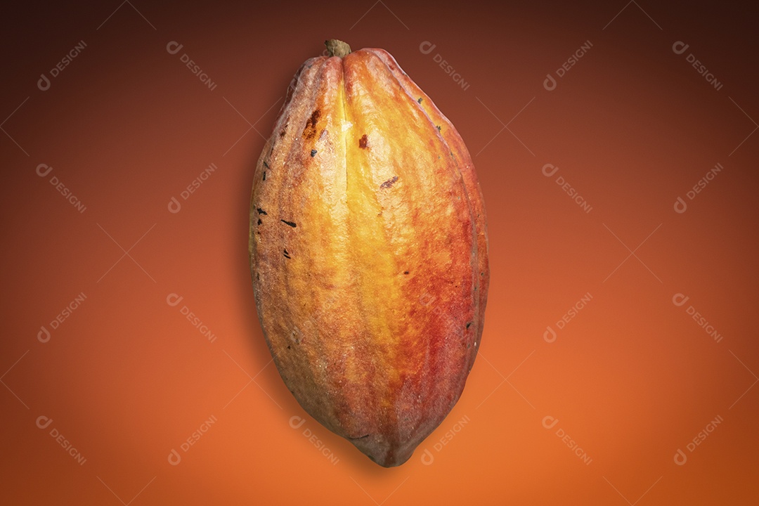 Fruta cacau