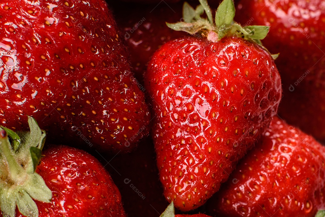 Morangos frescos e suculentos com folhas. Colheita fresca de verão de morangos