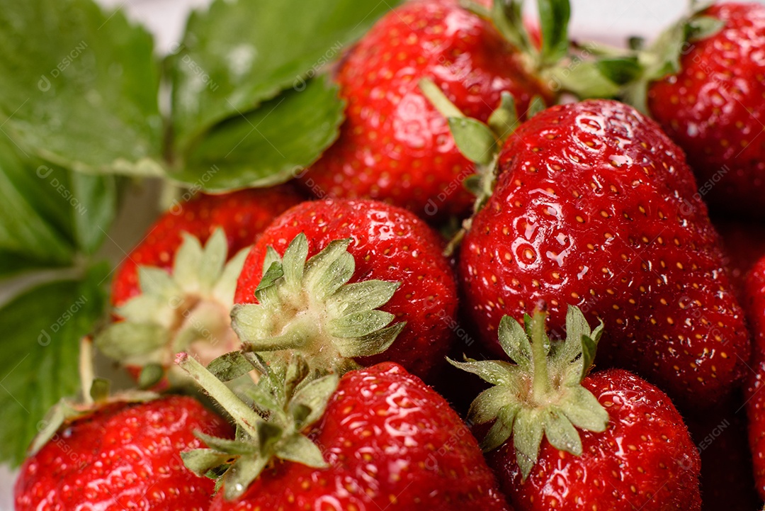 Morangos frescos e suculentos com folhas. Colheita fresca de verão de morangos