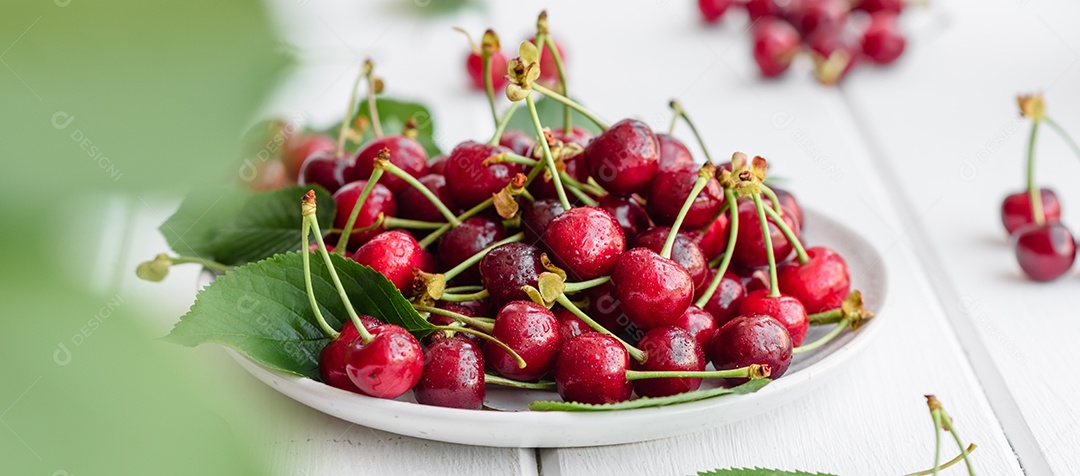Grande coleção de cerejas vermelhas frescas. Fundo de cerejas maduras