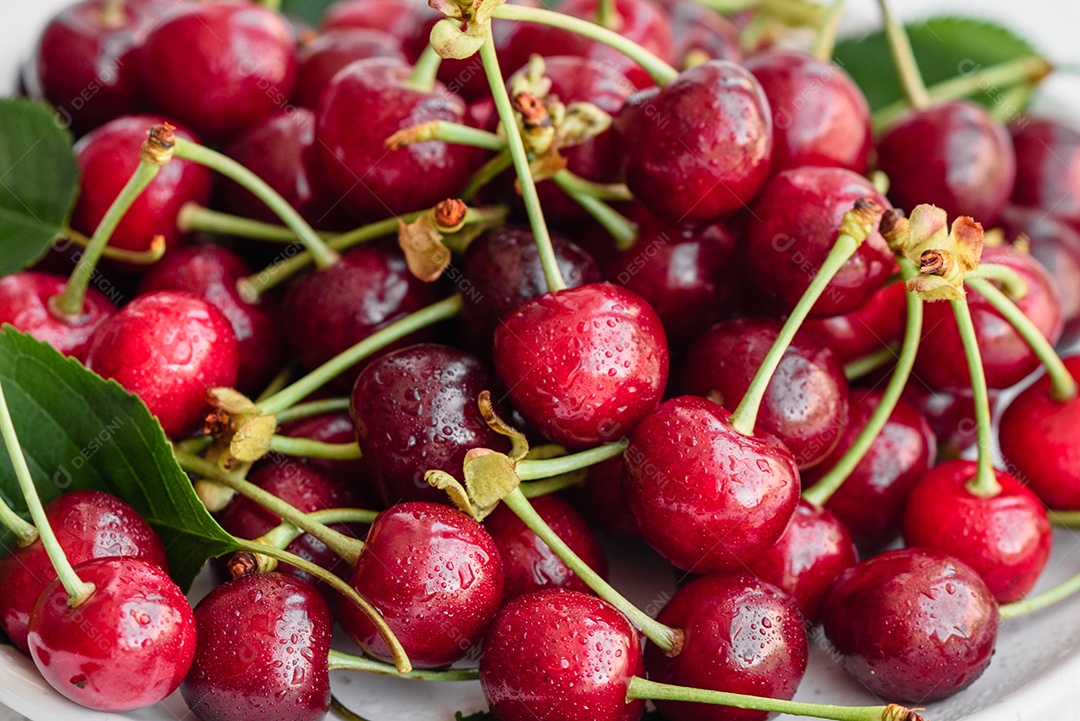 Grande coleção de cerejas vermelhas frescas. Fundo de cerejas maduras