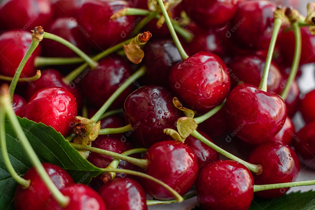 Grande coleção de cerejas vermelhas frescas. Fundo de cerejas maduras