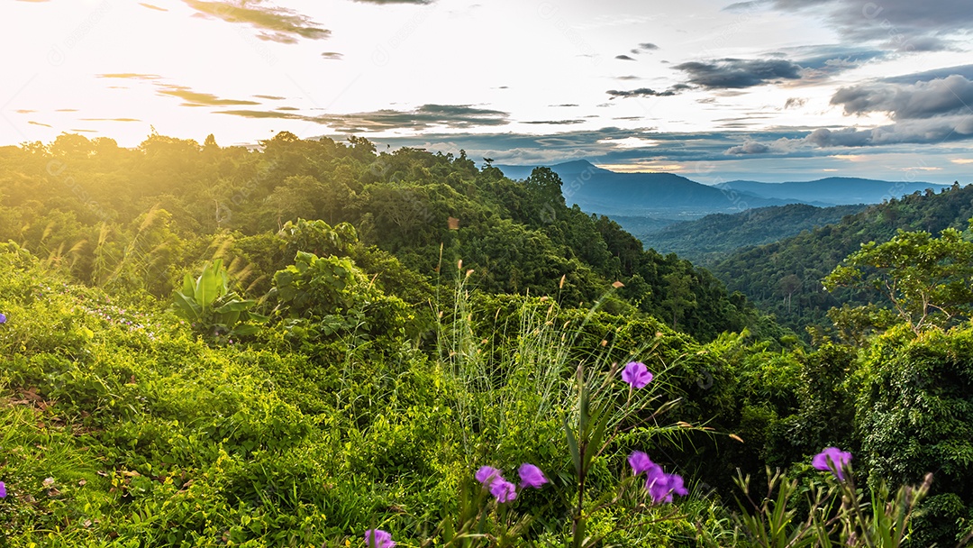 Paisagem de montanha bela paisagem rural da Tailândia