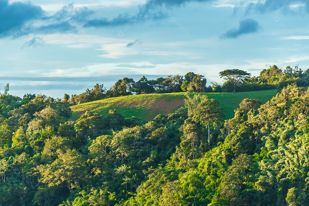 Paisagem de montanha bela paisagem rural da Tailândia