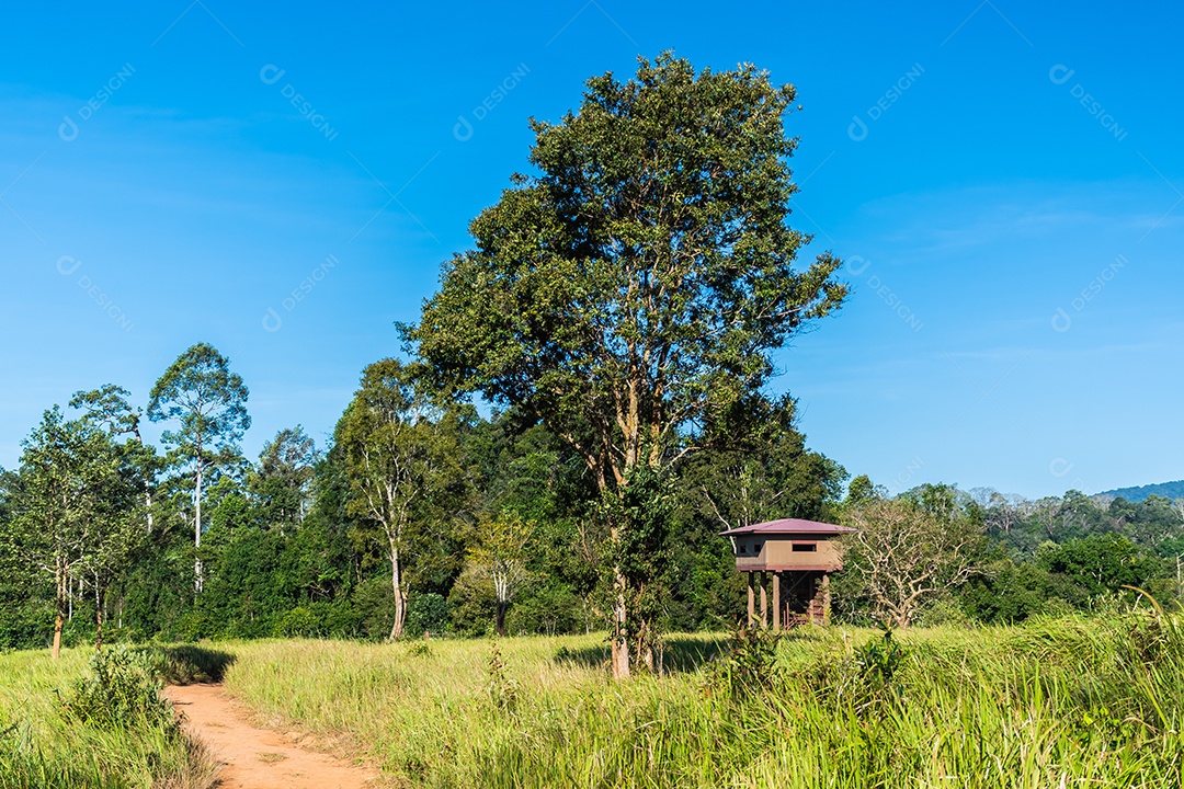 Vista da torre de observação Nong Pak Chi, Parque Nacional Khao Yai.