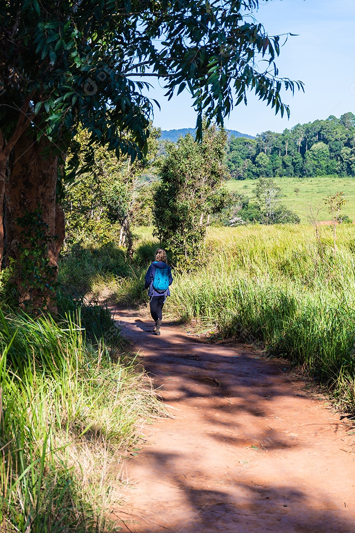 Os turistas estão caminhando na trilha natural.