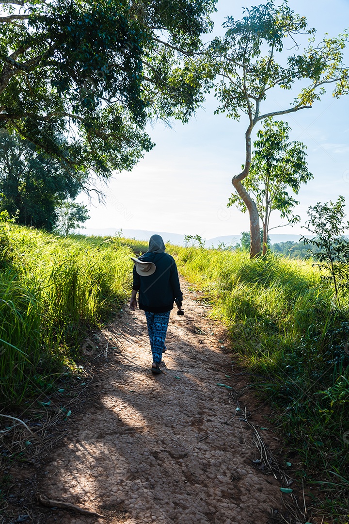Os turistas estão caminhando na trilha natural.