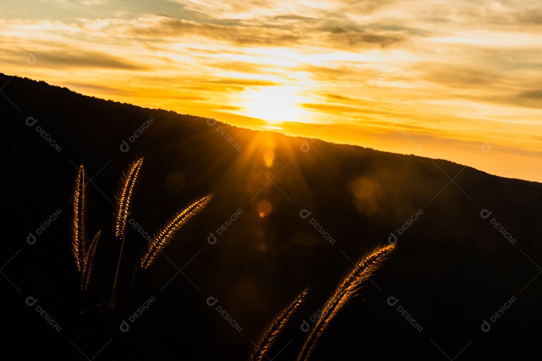 Penhascos Pha Deaw Dai do Parque Nacional Khao Yai, na Tailândia
