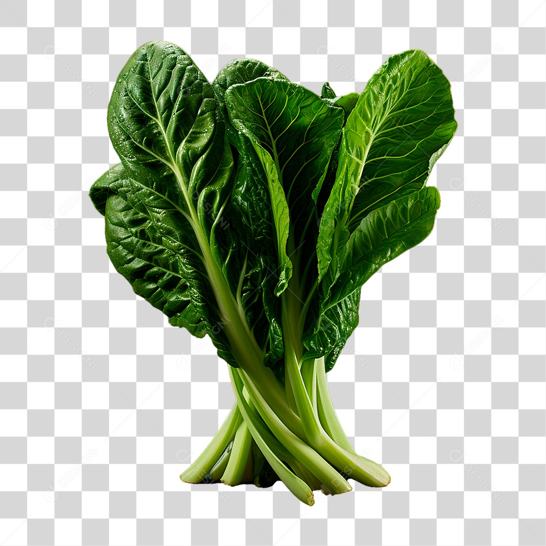 Couve PNG Transparente
