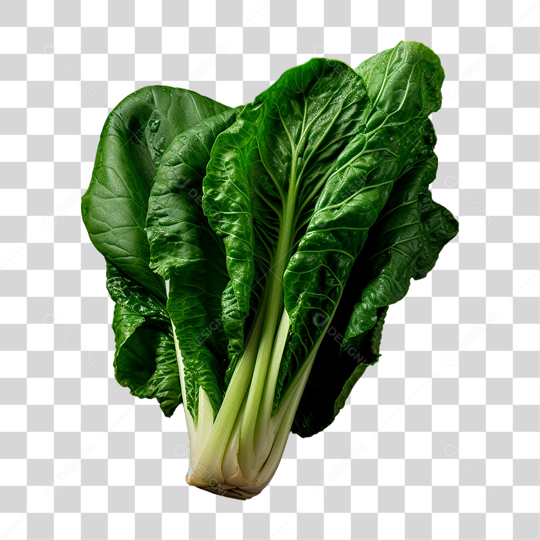 Couve PNG Transparente