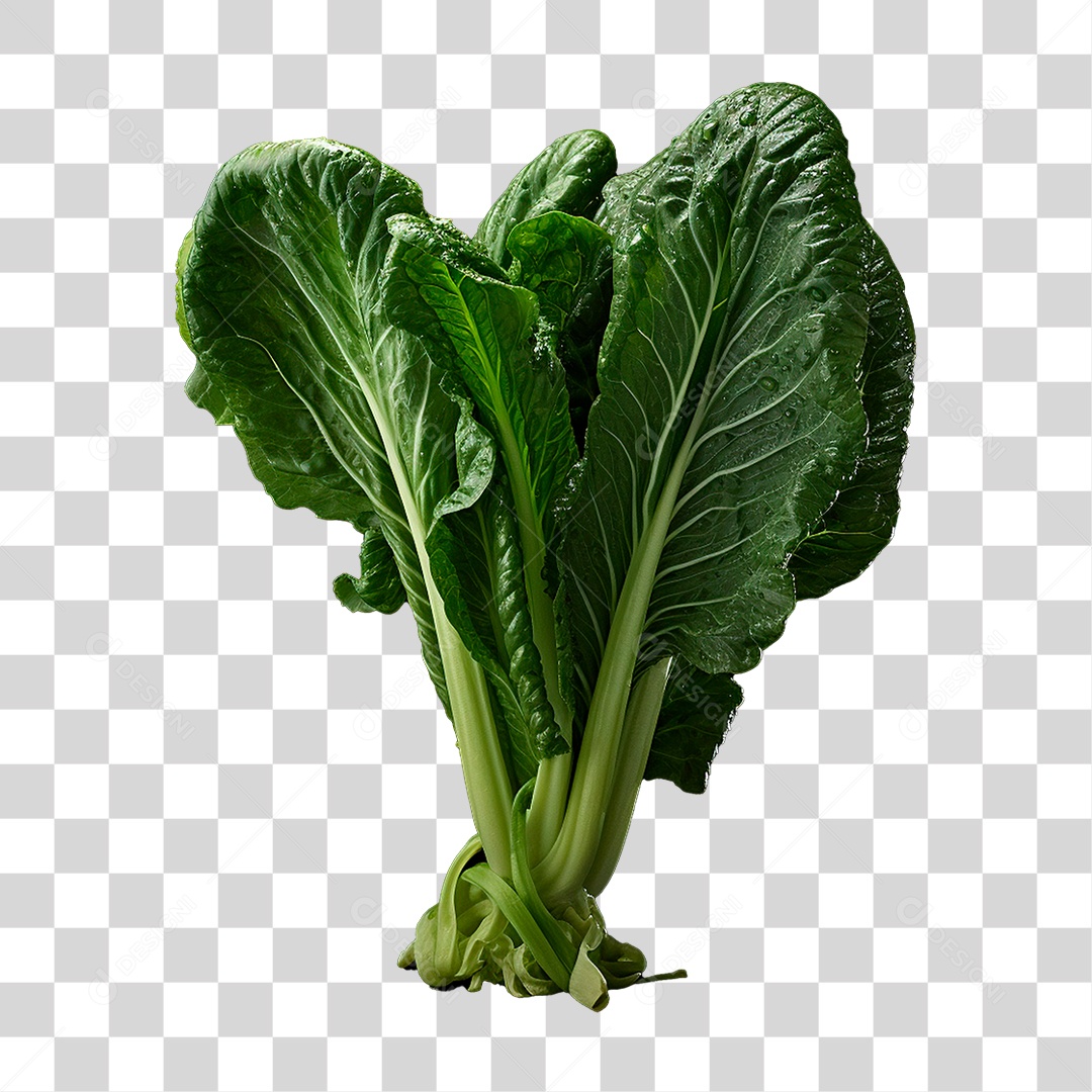 Couve PNG Transparente