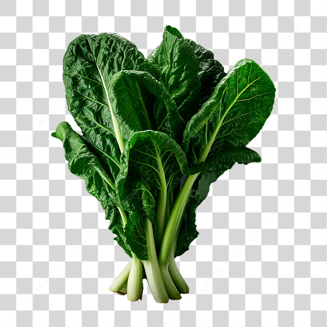 Couve PNG Transparente