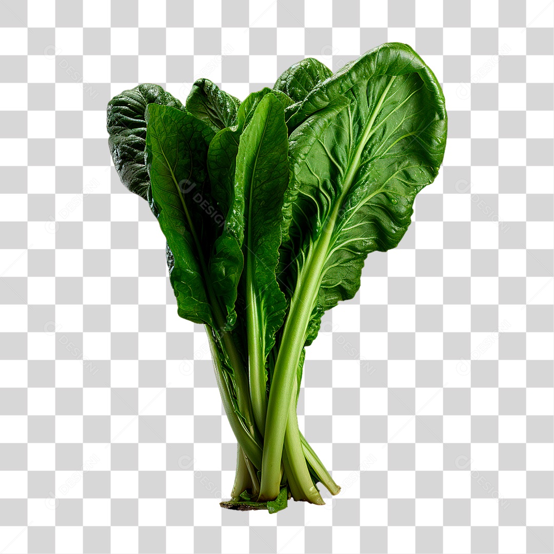 Couve PNG Transparente