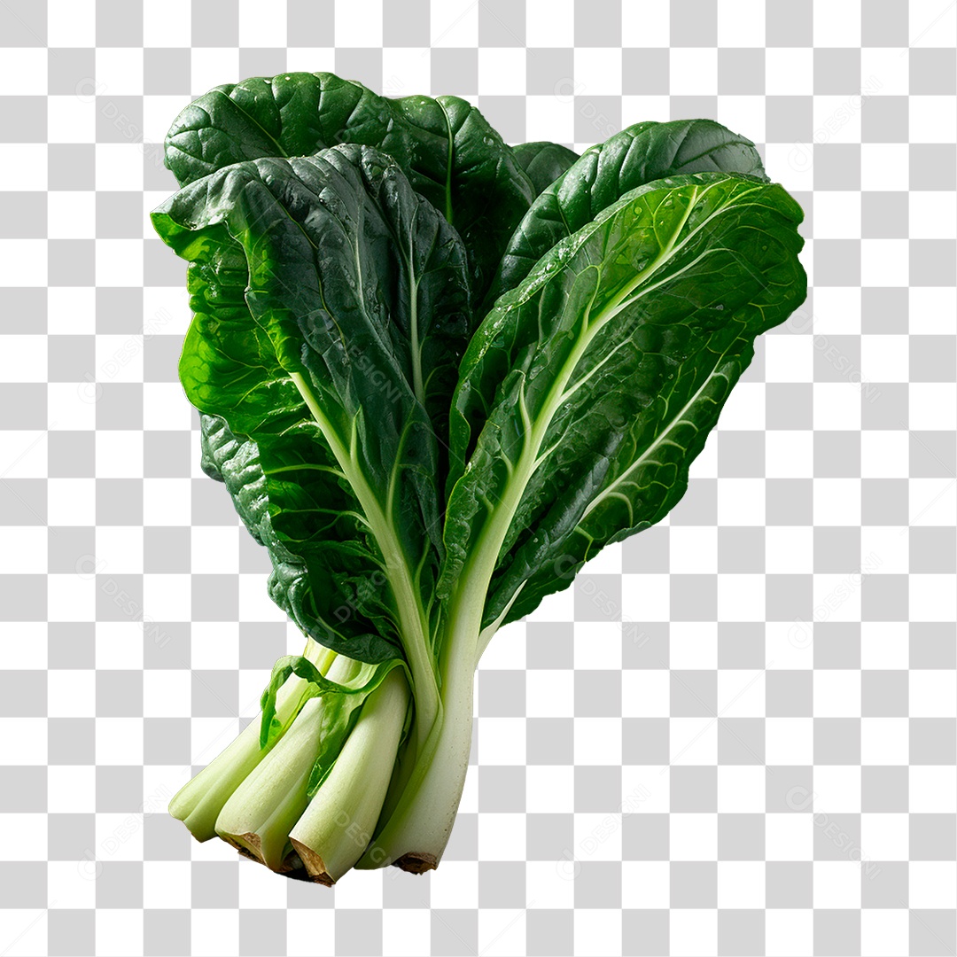 Couve PNG Transparente
