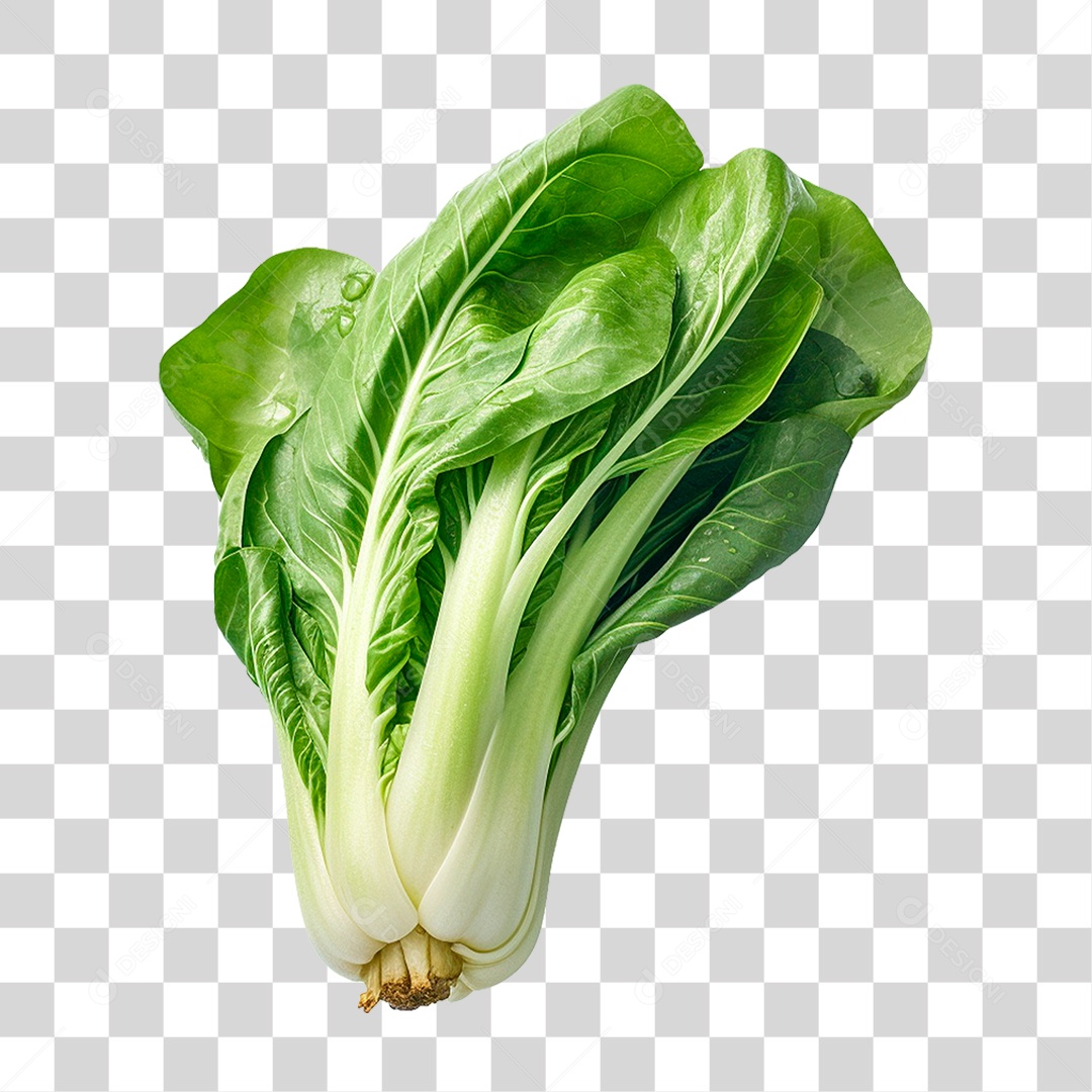 Couve PNG Transparente