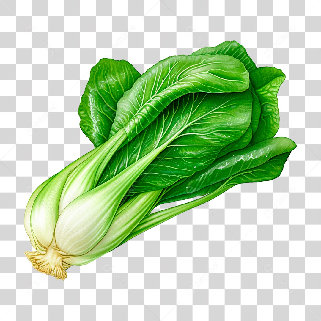 Couve PNG Transparente