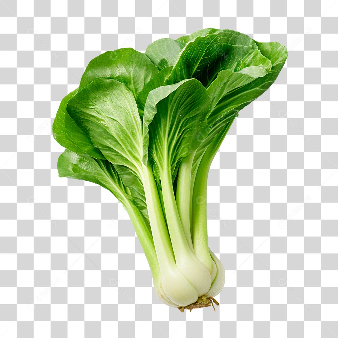 Couve PNG Transparente