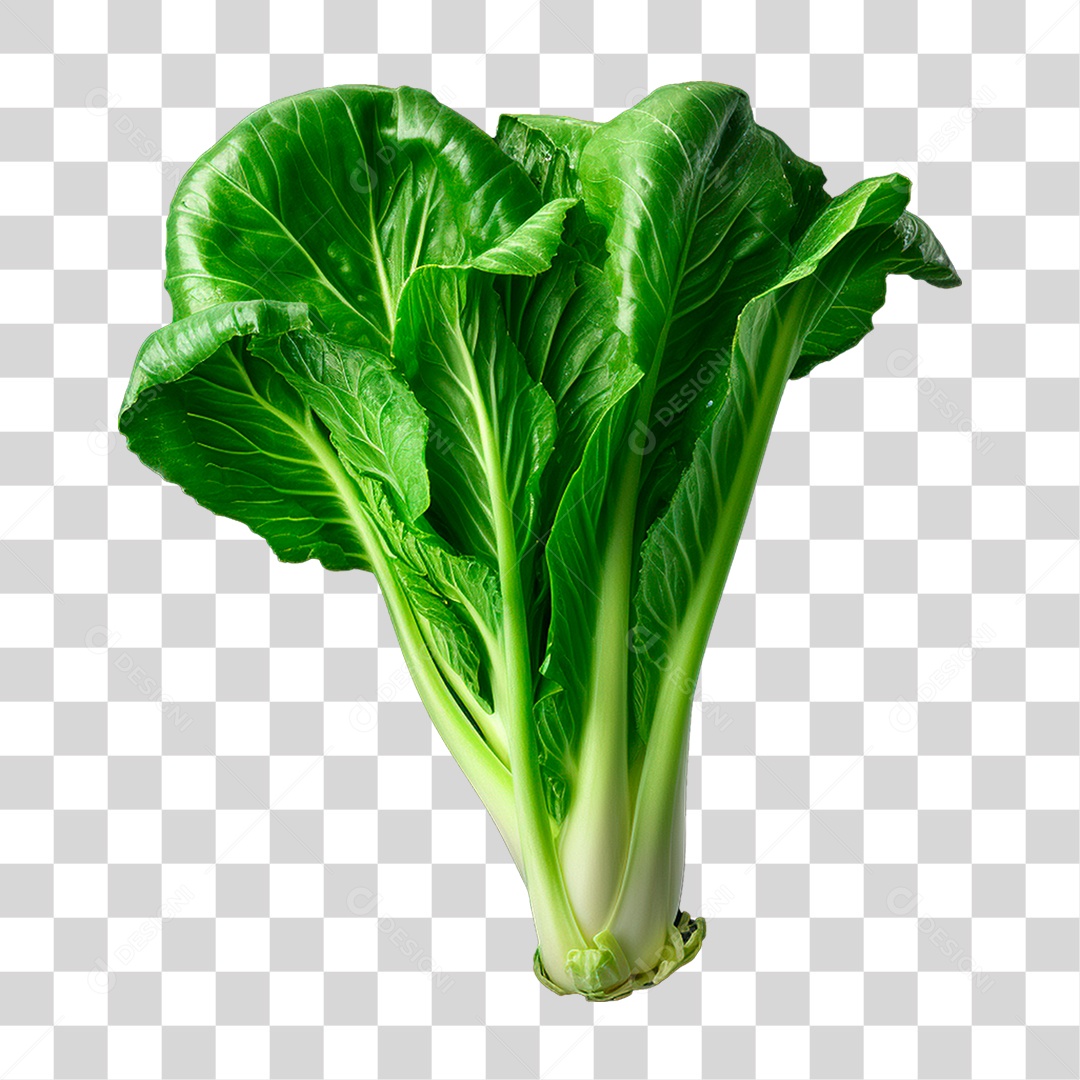 Couve Verdura PNG Transparente
