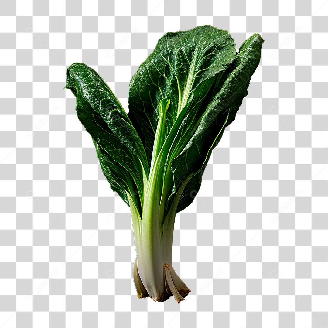 Couve PNG Transparente