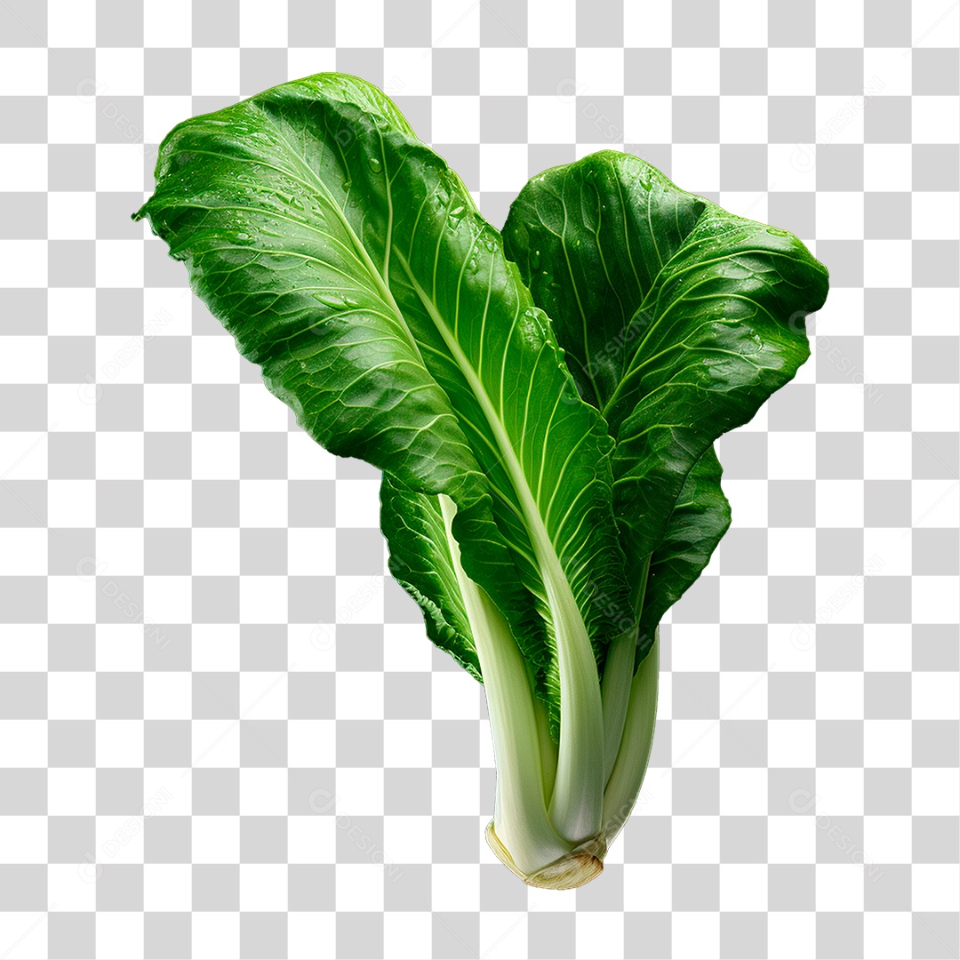 Couve PNG Transparente