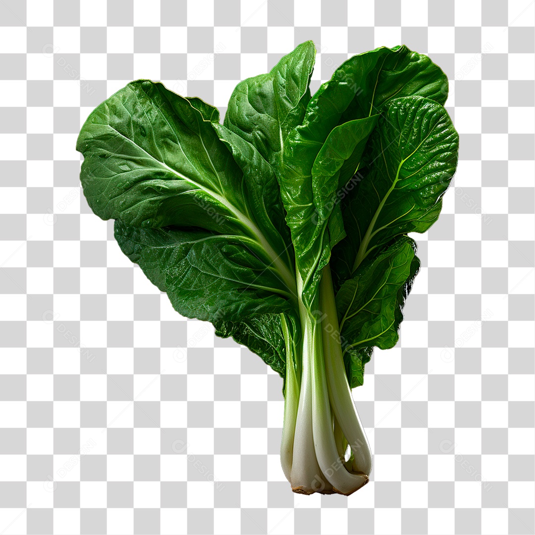 Couve PNG Transparente