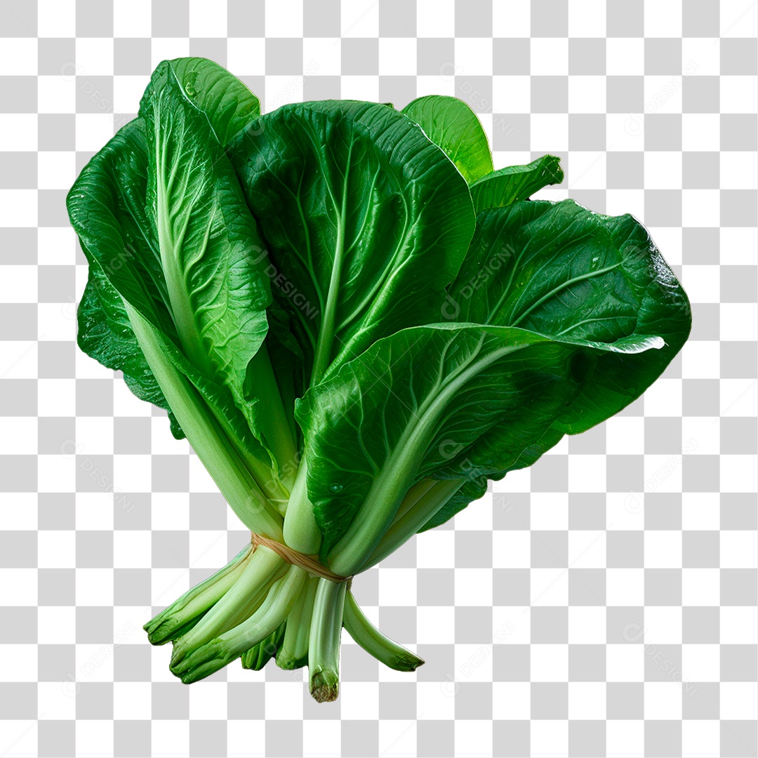 Couve PNG Transparente