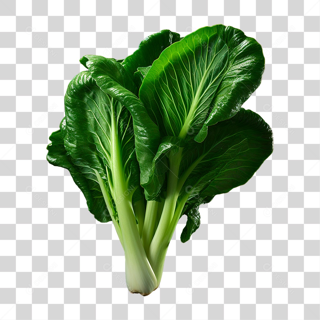 Couve PNG Transparente