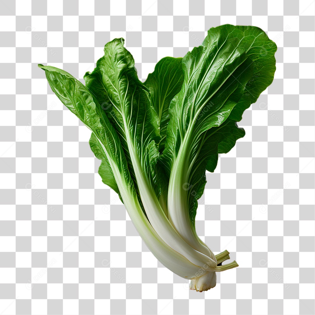 Couve PNG Transparente