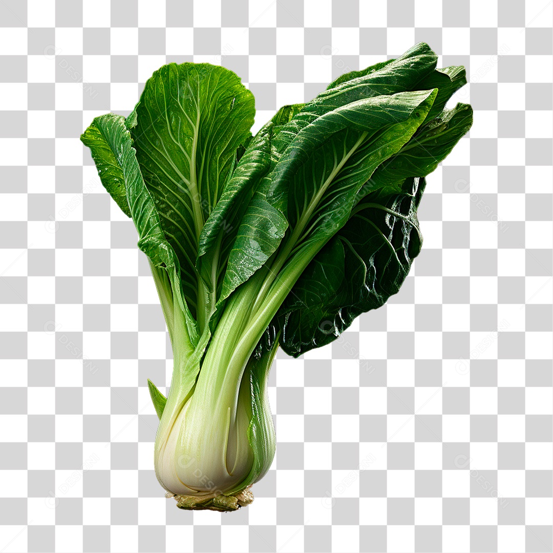 Couve PNG Transparente