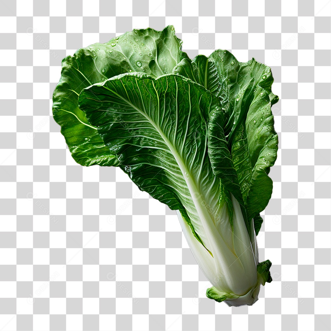 Couve PNG Transparente