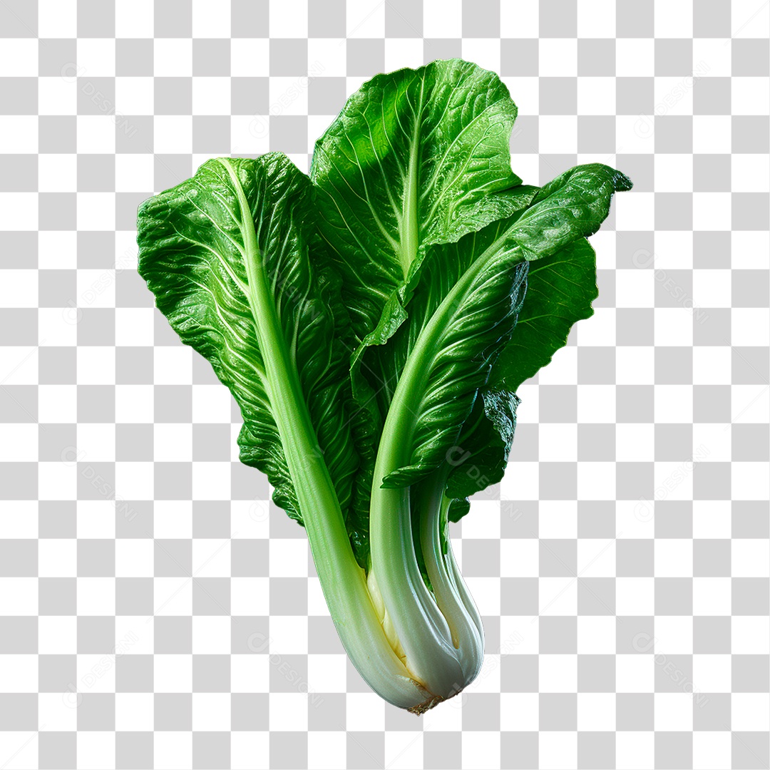 Couve PNG Transparente