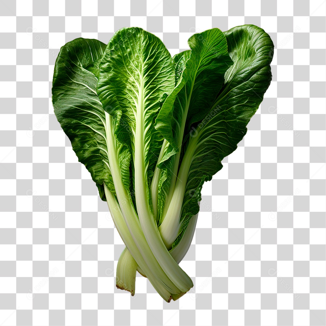 Couve PNG Transparente