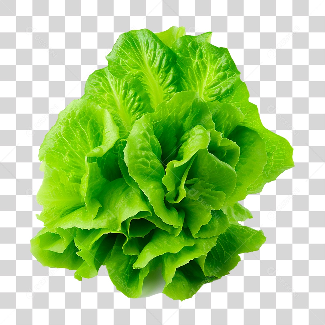Transparent PNG lettuce