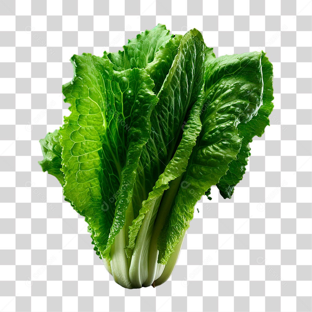 Transparent PNG lettuce