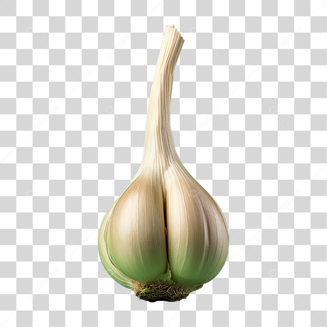 Cabeça de Alho Tempero PNG Transparente