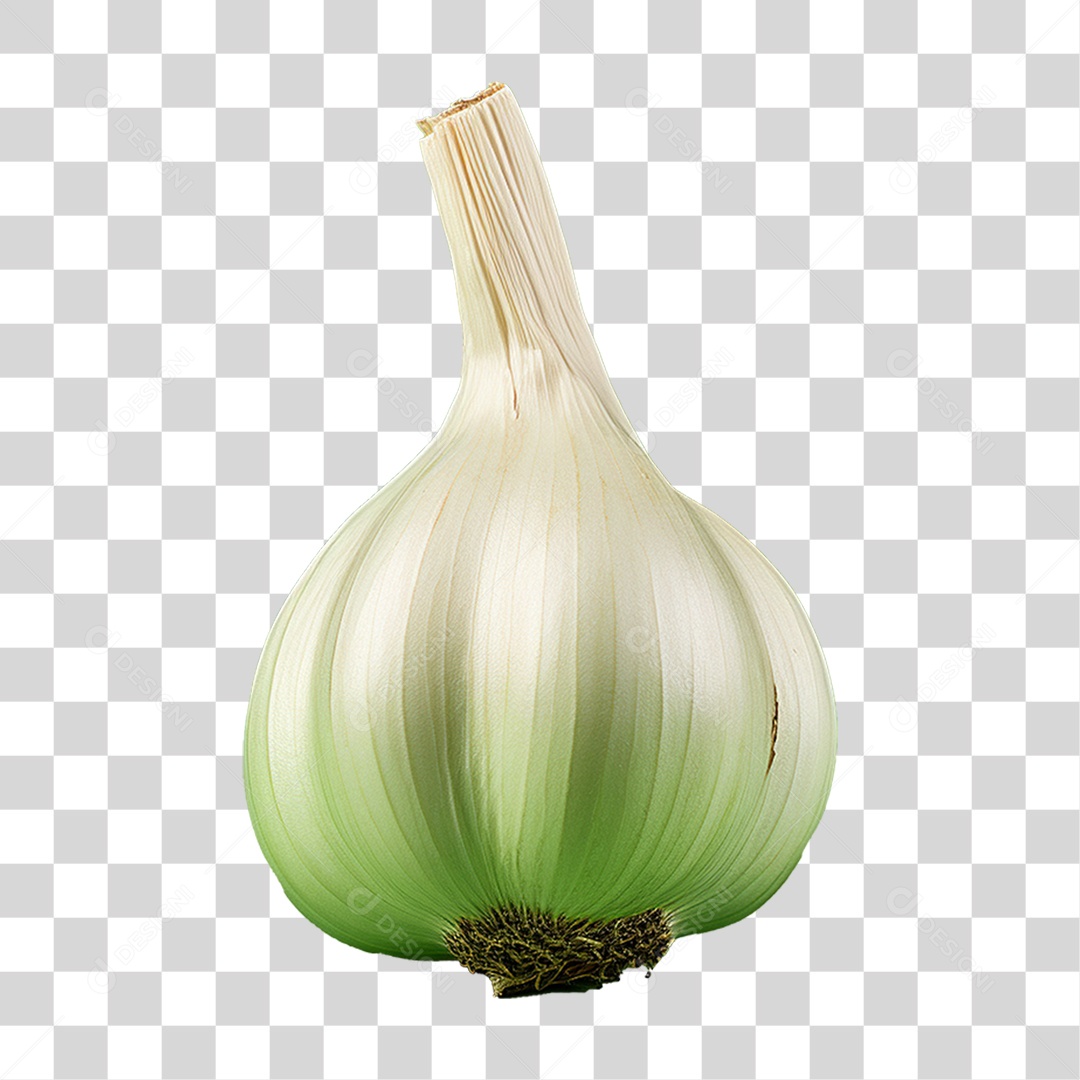 Cabeça de Alho Tempero PNG Transparente