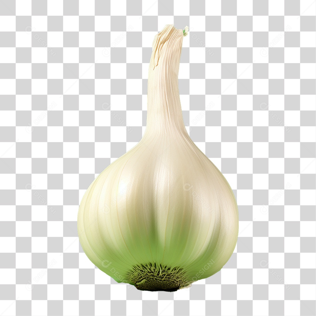 Cabeça de Alho Tempero PNG Transparente