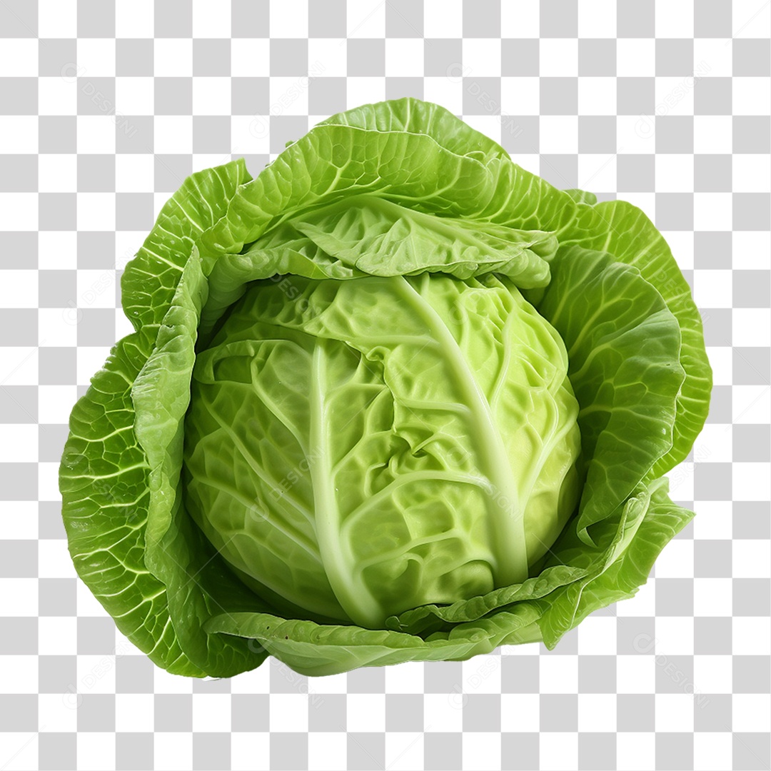 Repolho Vegetal Legumes PNG Transparente