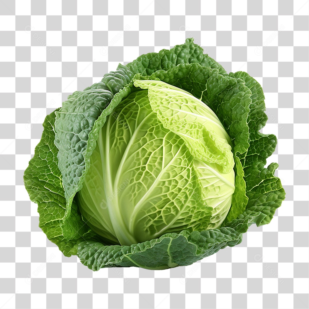 Repolho Vegetal Legumes PNG Transparente