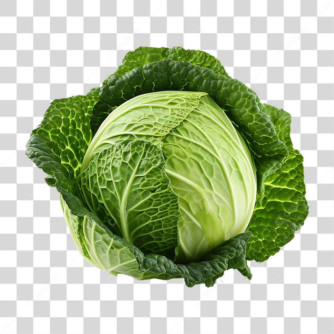 Repolho Vegetal Legumes PNG Transparente