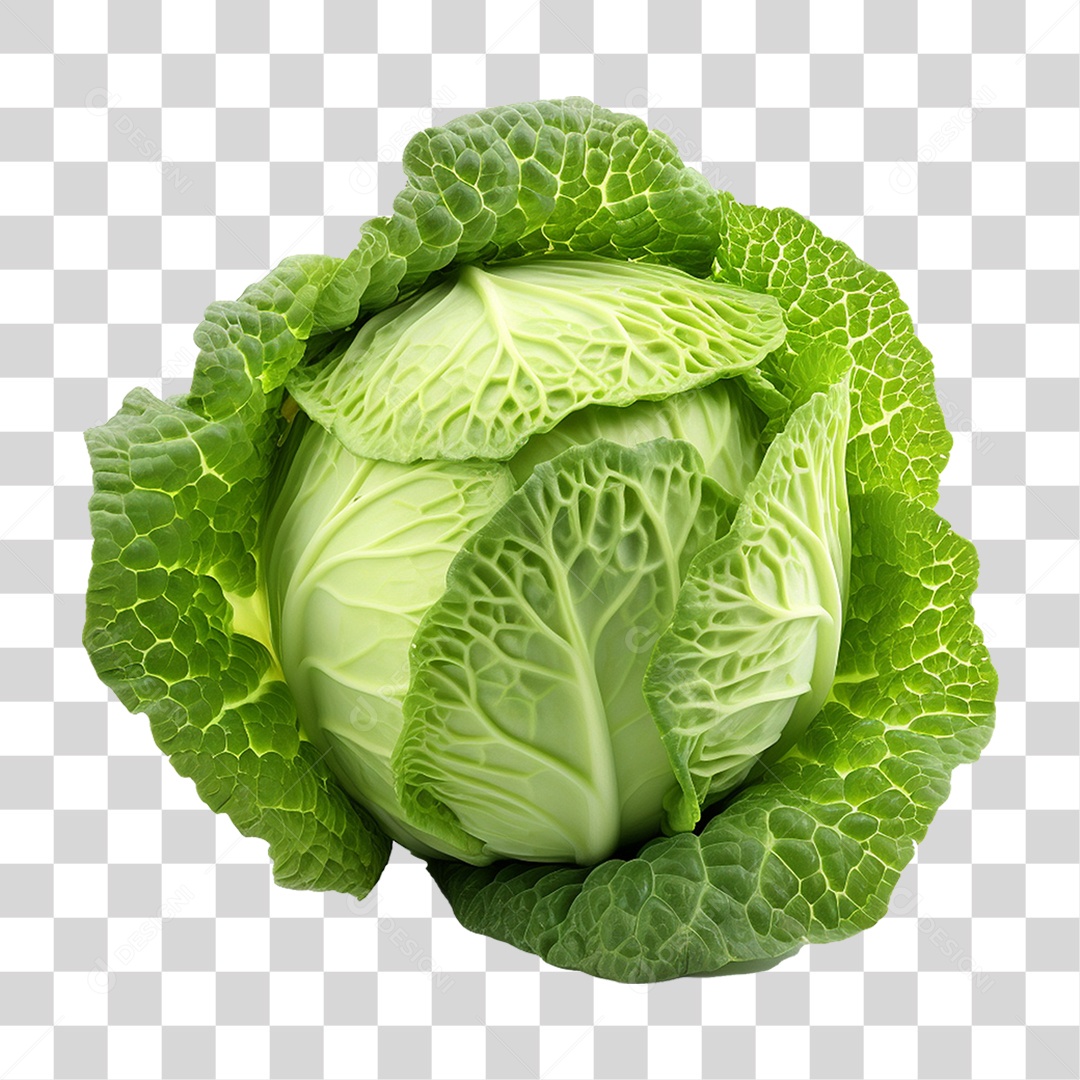 Repolho Vegetal Legumes PNG Transparente