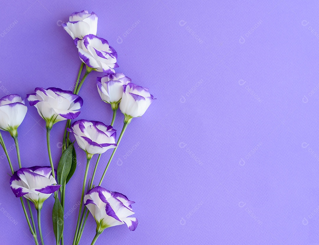 Um buquê de lindo eustoma roxo recém-cortado em um fundo de uma tonelada. Fundo com lindas cores