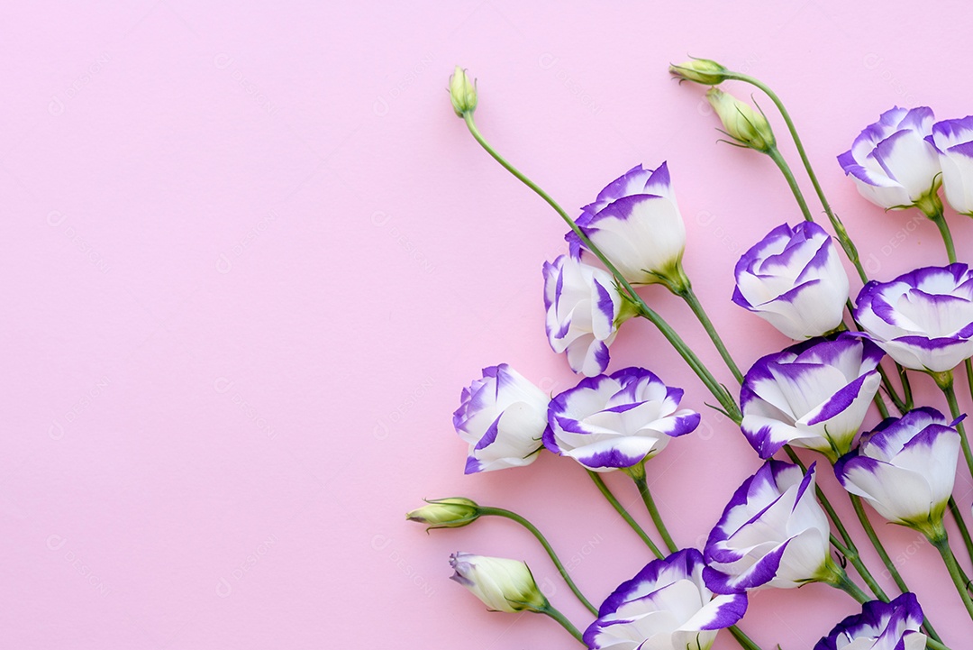 Um buquê de lindo eustoma roxo recém-cortado em um fundo de uma tonelada. Fundo com lindas cores